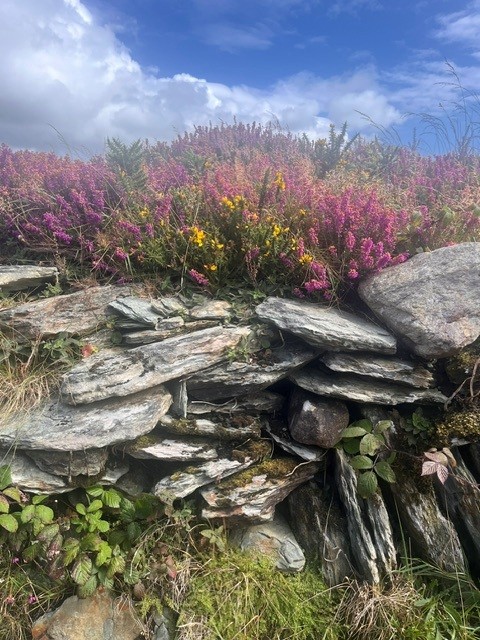 Stone wall