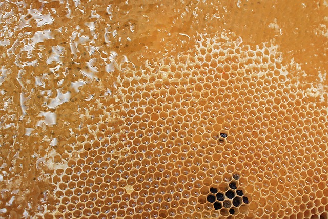 Honeycomb